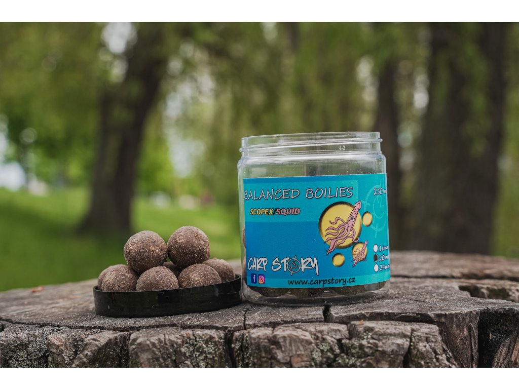 Balanced Boilies Scopex/Squid  24 mm